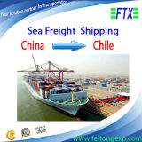 Sea Cargo From China to Valparaiso Chile