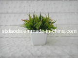 Artificial Plastic Grass Bonsai (C0121)