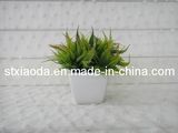 Artificial Plastic Grass Bonsai (C0121)