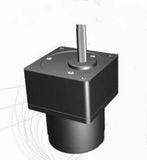 Brushless DC Motor (70ZWN)