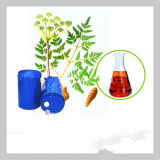 High Quality Pure Notopterygium Oil