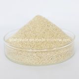 Acid Sodium Alginate Textile Grade