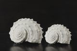 Whelk Shape Figurine/ Whelk Shape Home Decoration/ Whelk Shape Hotel Decoration/ Sandstone Whelk Decoration