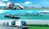 One Stop Logistics Service (sea shipping/air freight/express/customs/trucking)