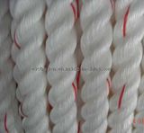 PP/ PE Rope