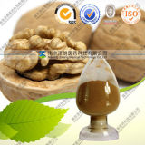 Factory Direct Supply Natural Peach Seed P. E.