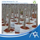 Spunbond for Root Control Bag