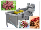 Industrial Stainless Steel Washing Machine with Brush Roller