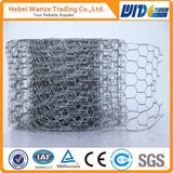 Hexagonal Wire Mesh