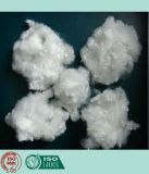 Recycled Polyester Staple Fiber (Hollow, Conjugated, Non-Siliconized) (7D/15D HCNS)