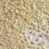 Hulled White Sesame Seeds