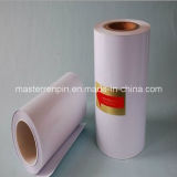 Silicone Release Paper High Quality and Competitive Price