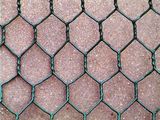 Chicken Wire Mesh