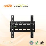 LCD & Plasma TV Mount