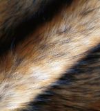 Fuax Fur of Raccoon (OZ15FHZM0002)