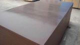 Film Faced Plywood for Construction Concrete Use