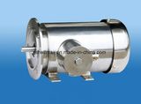 NEMA & IEC Standard Stainless Steel Motor B35