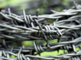 Barbed Wire/Iron Barbed Wire/Barbed Wire Mesh
