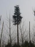 Camouflaged Tower Telecom Bionic Artificial Tree Tower