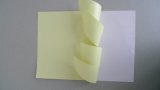 Self Adhesive Paper (Woodfree Coated)