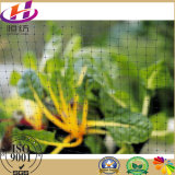 Anti Insect Net for Gardenning Use From China