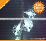 IP66 LED String Light/ Christmas String/LED Holiday Light