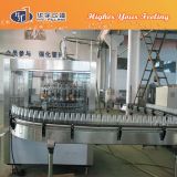 Pet and Glass Bottle Automatic Fruit Juice Filling Machinery
