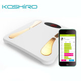 Bluetooth Body Composition Analyzer as Christmas Promotion Gift