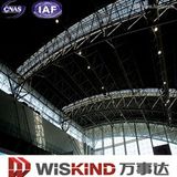 Galvanized Steel Structure Building (WSDSS303)