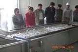 Bubble Washing Machine (6ZQXJ-Z-1)