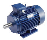 IE2 Series Three-Phase Induction Motor