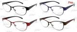 Metal Eyewear/ Reading Glasses / Spectacles