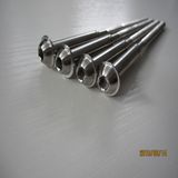 Special Socket Bolt Special Fastener