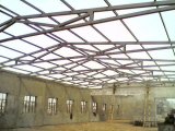 Factory Supply High Galvanized Steel Structure