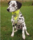 2015 Yellow Knitting Fabic Pet Safety Reflective Collar