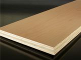 Bintangor /Okoume /Sapelli Commercial Plywood for Furniture