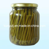 Canned Green Beans with High Quality
