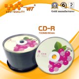 CD-R 700MB Grade a with 52x Running Speed and 80min Playing Time (AS-002CDR)