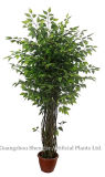 Artificial Ficus Bonsai Tree (poppular)