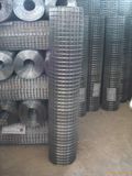 Welded Wire Mesh