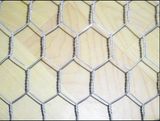 Hexagoanl Wire Mesh Netting Galvansied