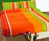4 PCS Printed Bedding Set