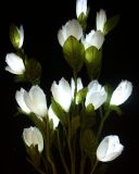 LED Flower Light (LC15004WB)