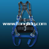Ladder Safety Belts