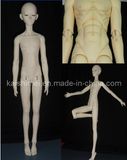 Male BJD