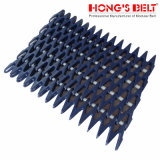 Modular Plastic Conveyor Belt (HS-1200b)
