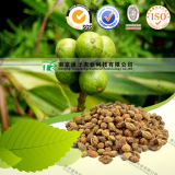 100% Pure Natural Herb Medicine Sharpleaf Galangal Fruit