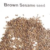 Brown Sesame Seed Supplier