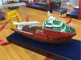 Cruise Miniature Scale Model