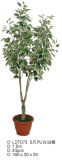 Artificial Ficus White Edge